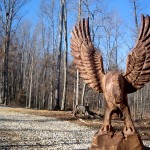 Eagle, front