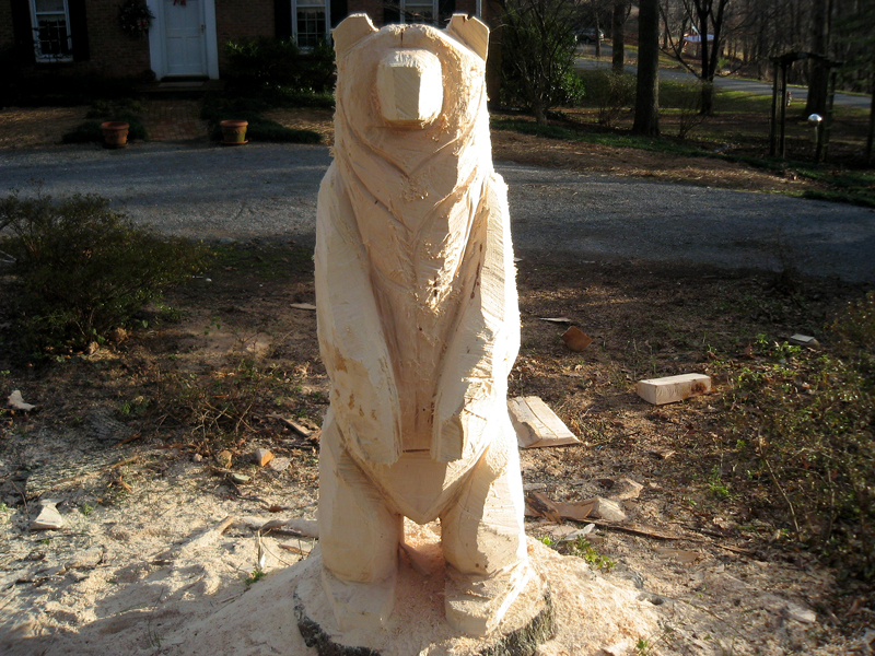 Big Bear on Waughs Ferry Rd, Amherst