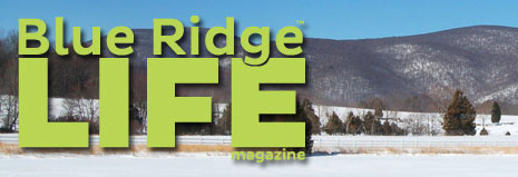 Pineapple Lamppost in BLR