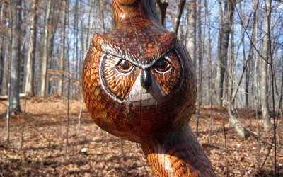 Flying Owl in Red Oak