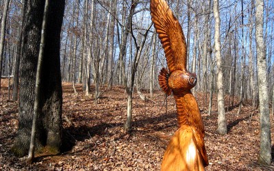 Flying Owl in Red Oak