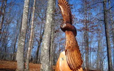 Flying owl in Red Oak