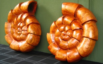 Cherry Wood Ammonite Chainsaw Sculpture
