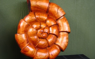 Cherry Wood Ammonite Chainsaw Sculpture