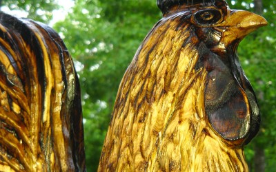 Rustic Rooster, Reclaimed Ash Wood, head detail