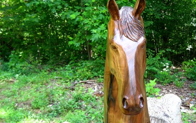 Walnut Wood Horse Head Sculpture