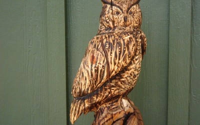 Owl perched on log