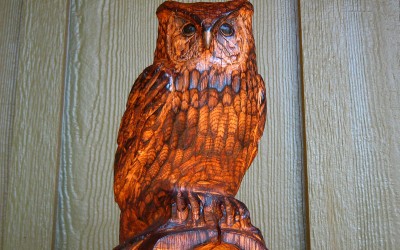 Horned Owl Perched on Niches