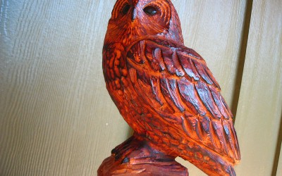 Cherry Perched Owl
