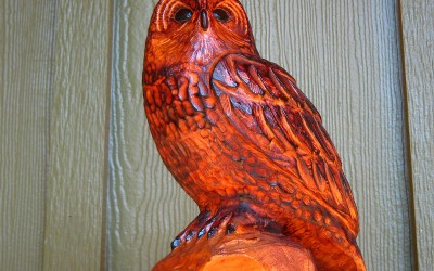 Cherry Perched Owl