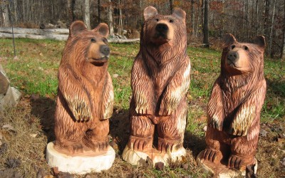 Cedar Bear Cubs