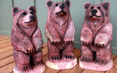 Cedar Bear Cubs, the Rusties