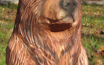 Cedar Bear Cubs