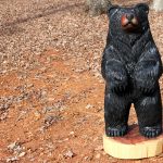 Cedar Black Bear