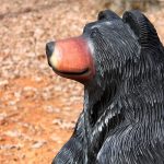 Cedar Black Bear