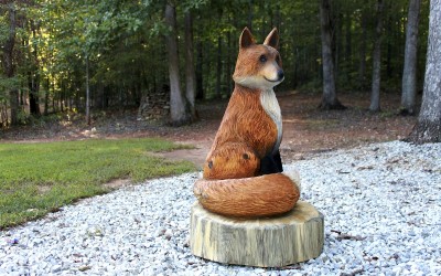 Vixen kit fox
